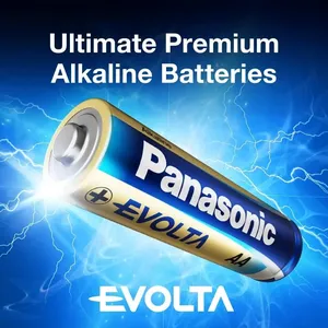 Panasonic Evolta Alkaline Battery AA (Pack of 4 Pieces) LR6EG/4B 3
