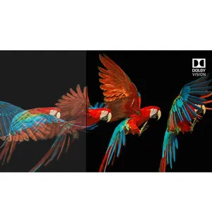 Belkin Ultra HD High Speed HDMI Cable 2Meter 5